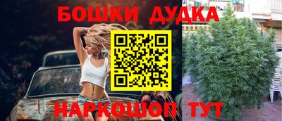 молекула духа Пугачёв